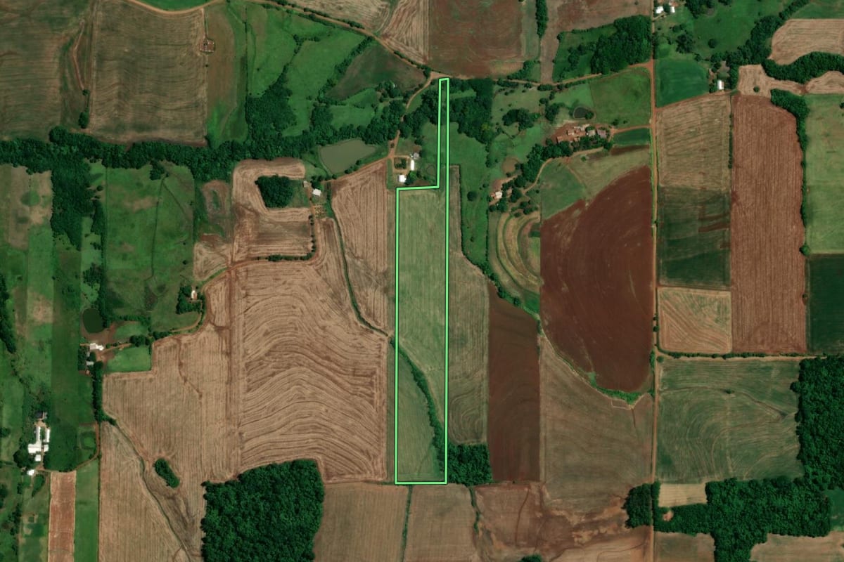 Imagem de satélite do imóvel rural em Roque Gonzales (RS), com o contorno declarado no CAR desenhado por cima.