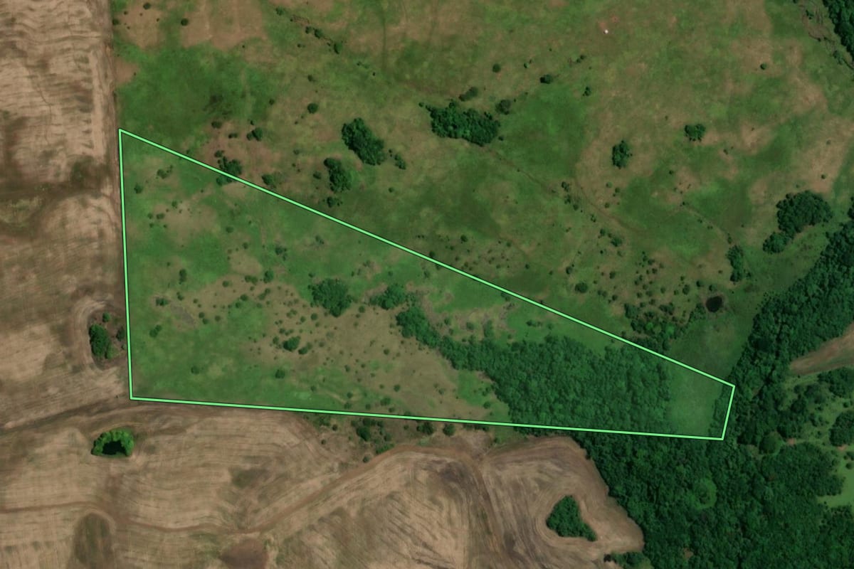 Imagem de satélite do imóvel rural em Roque Gonzales (RS), com o contorno declarado no CAR desenhado por cima.
