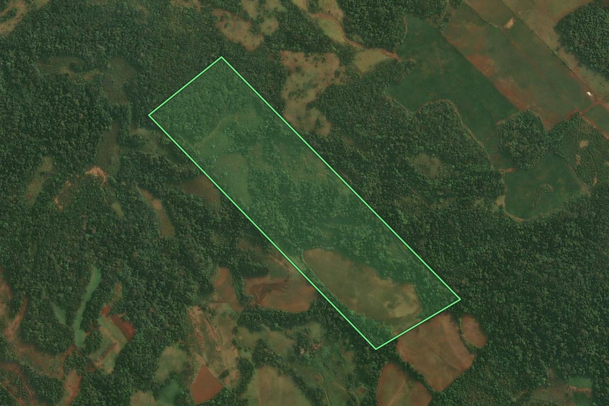 Imagem de satélite do imóvel rural em Roque Gonzales (RS), com o contorno declarado no CAR desenhado por cima.