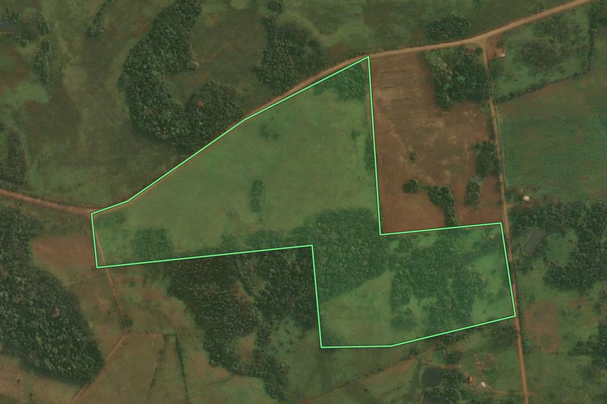 Imagem de satélite do imóvel rural em Roque Gonzales (RS), com o contorno declarado no CAR desenhado por cima.