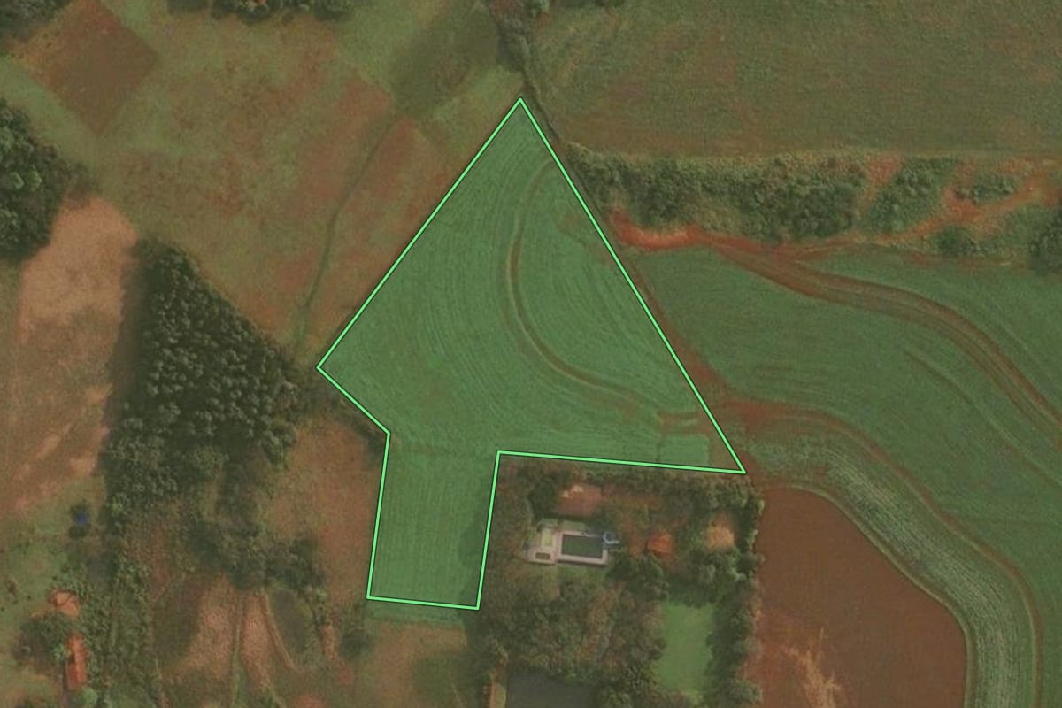 Imagem de satélite do imóvel rural em Roque Gonzales (RS), com o contorno declarado no CAR desenhado por cima.