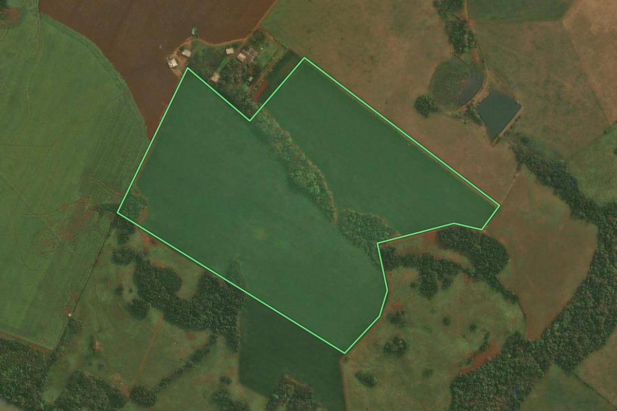 Imagem de satélite do imóvel rural em Roque Gonzales (RS), com o contorno declarado no CAR desenhado por cima.