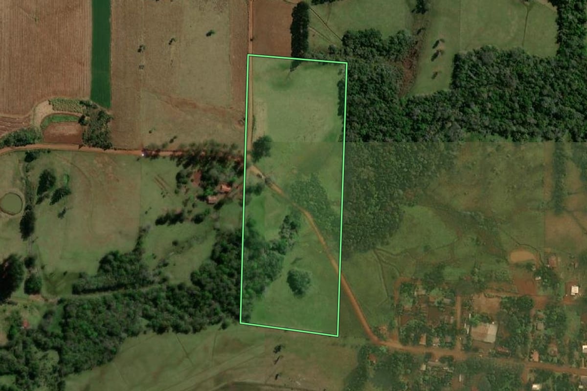 Imagem de satélite do imóvel rural em Roque Gonzales (RS), com o contorno declarado no CAR desenhado por cima.