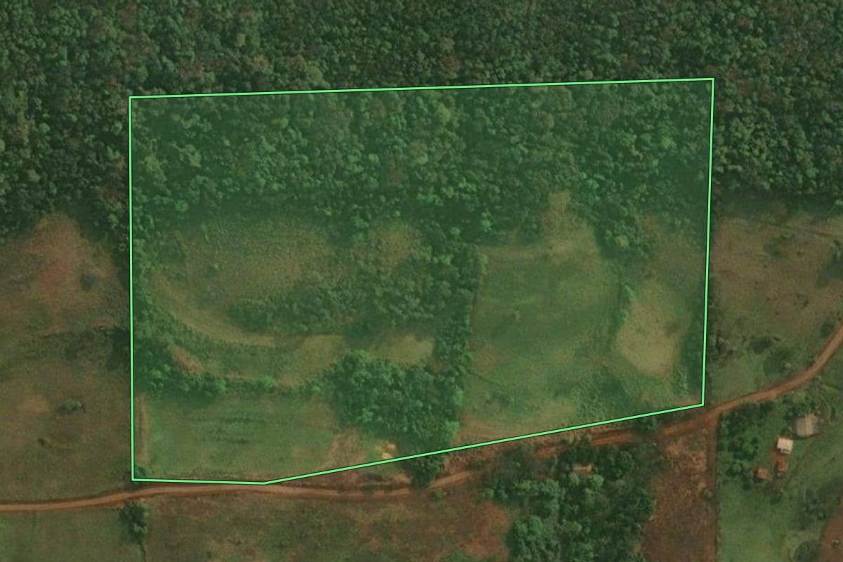 Imagem de satélite do imóvel rural em Roque Gonzales (RS), com o contorno declarado no CAR desenhado por cima.