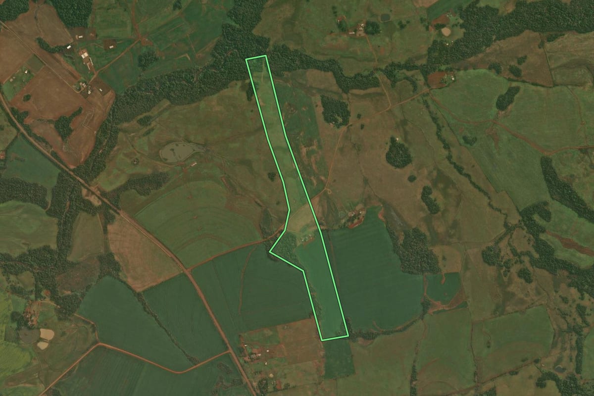 Imagem de satélite do imóvel rural em Roque Gonzales (RS), com o contorno declarado no CAR desenhado por cima.