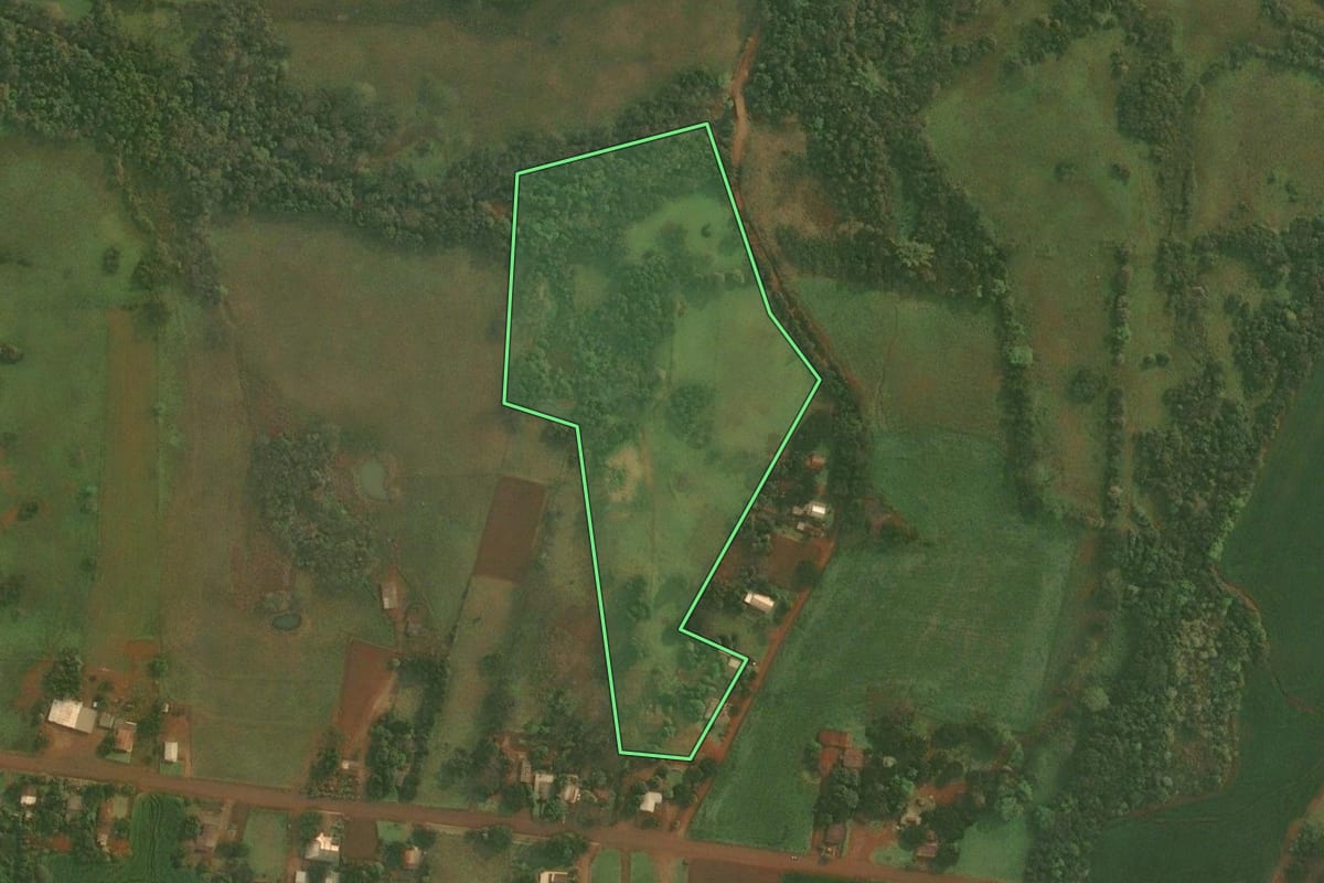 Imagem de satélite do imóvel rural em Roque Gonzales (RS), com o contorno declarado no CAR desenhado por cima.