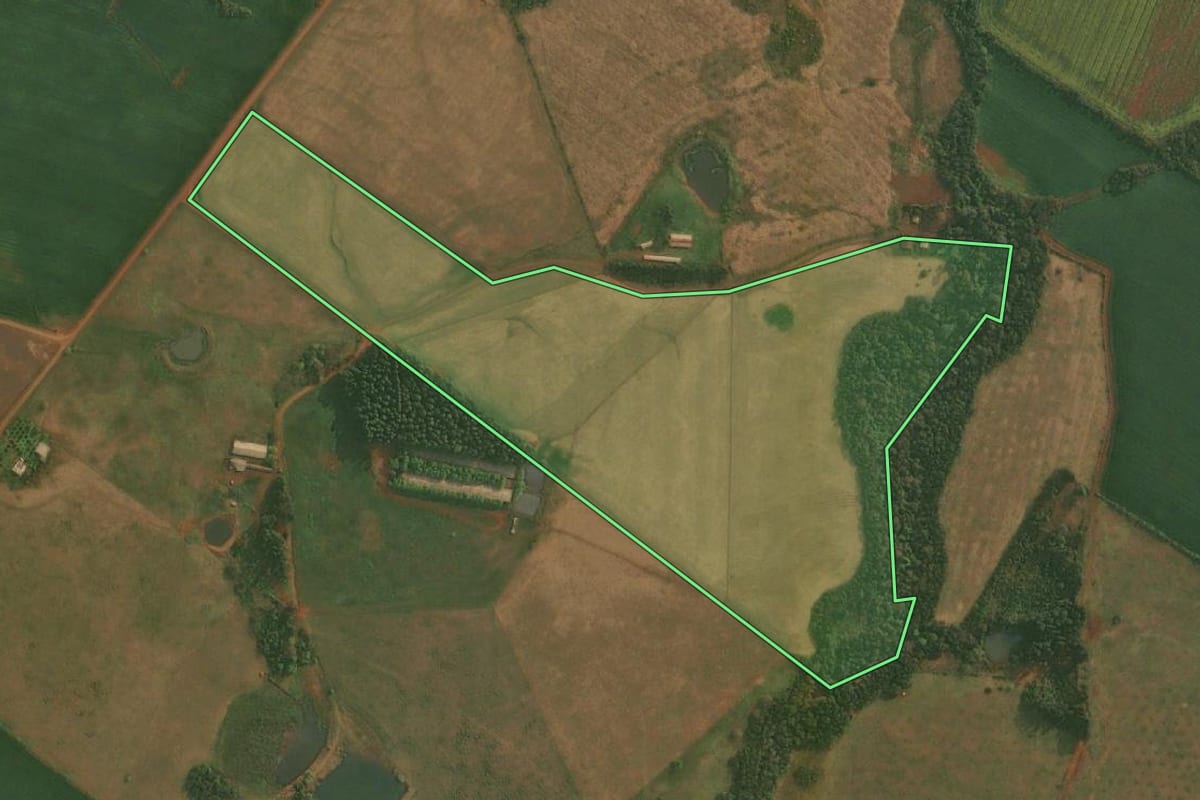Imagem de satélite do imóvel rural em Roque Gonzales (RS), com o contorno declarado no CAR desenhado por cima.