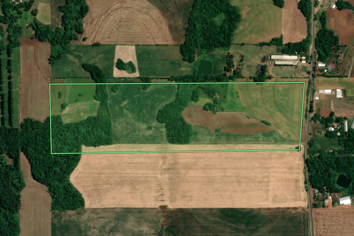 Imagem de satélite do imóvel rural em Roque Gonzales (RS), com o contorno declarado no CAR desenhado por cima.