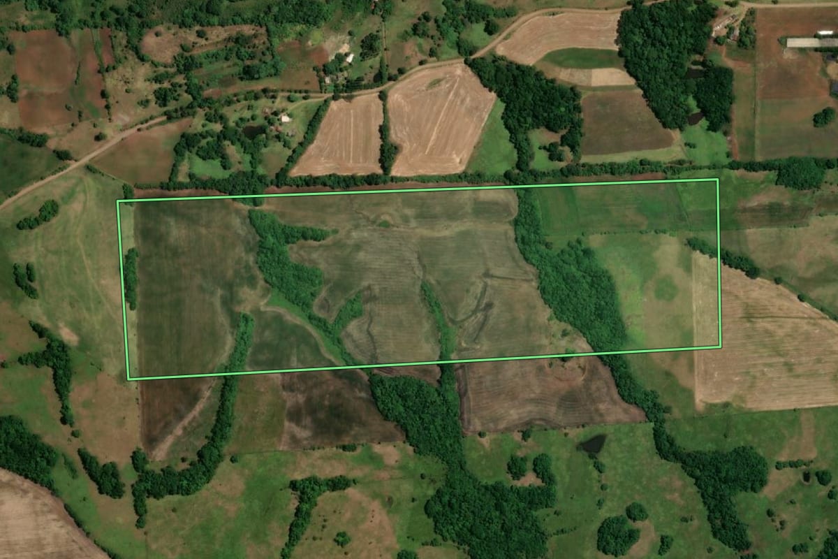 Imagem de satélite do imóvel rural em Roque Gonzales (RS), com o contorno declarado no CAR desenhado por cima.