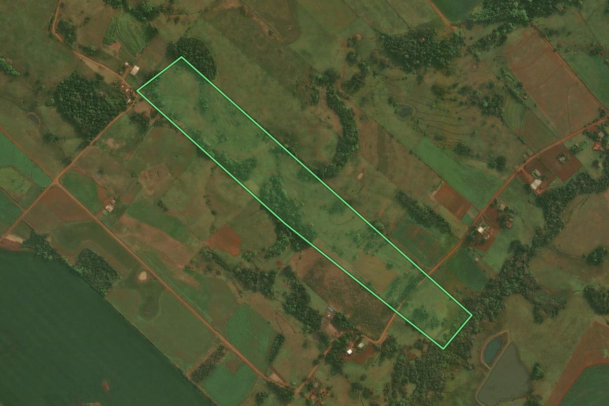 Imagem de satélite do imóvel rural em Roque Gonzales (RS), com o contorno declarado no CAR desenhado por cima.