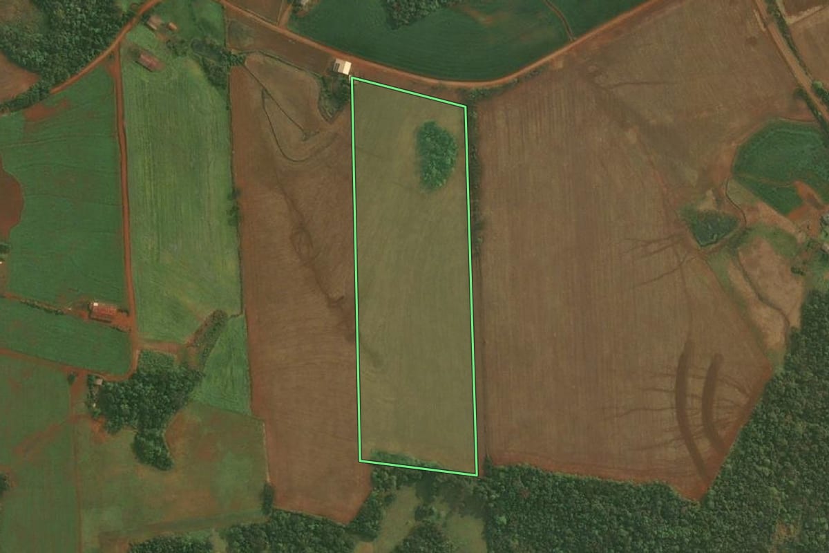 Imagem de satélite do imóvel rural em Roque Gonzales (RS), com o contorno declarado no CAR desenhado por cima.