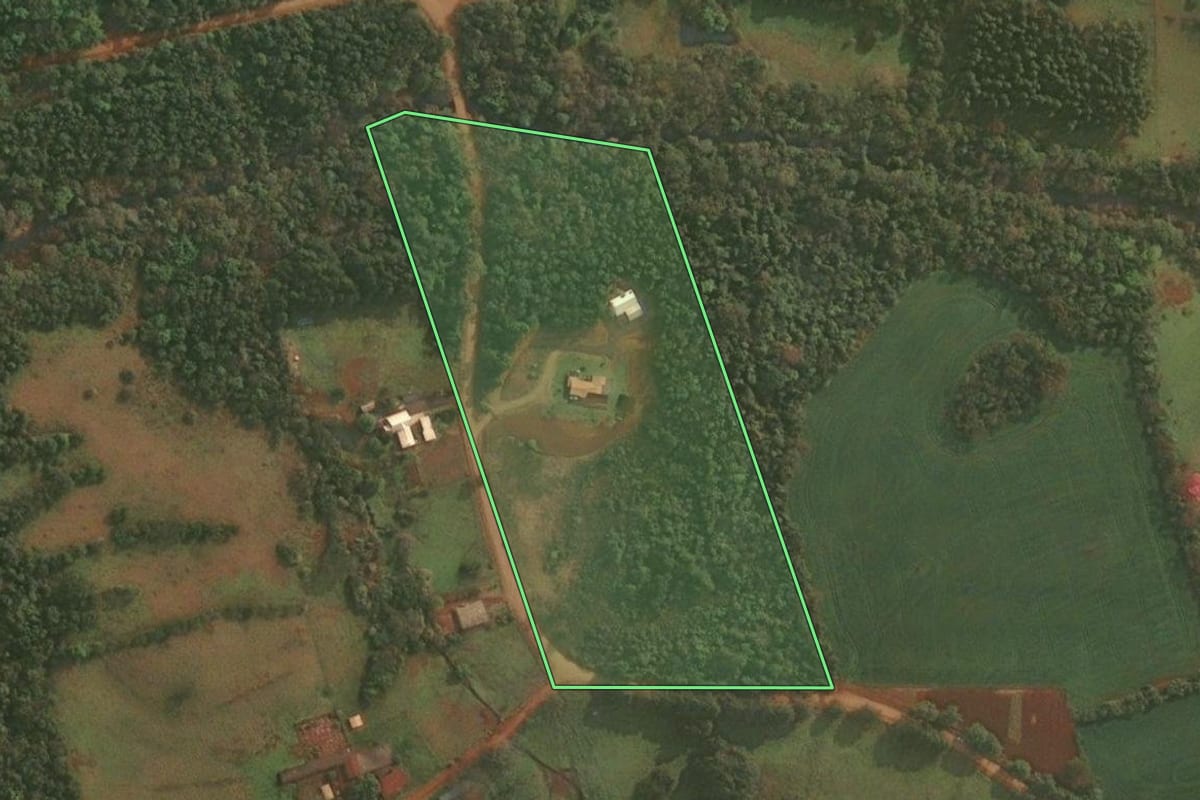 Imagem de satélite do imóvel rural em Roque Gonzales (RS), com o contorno declarado no CAR desenhado por cima.