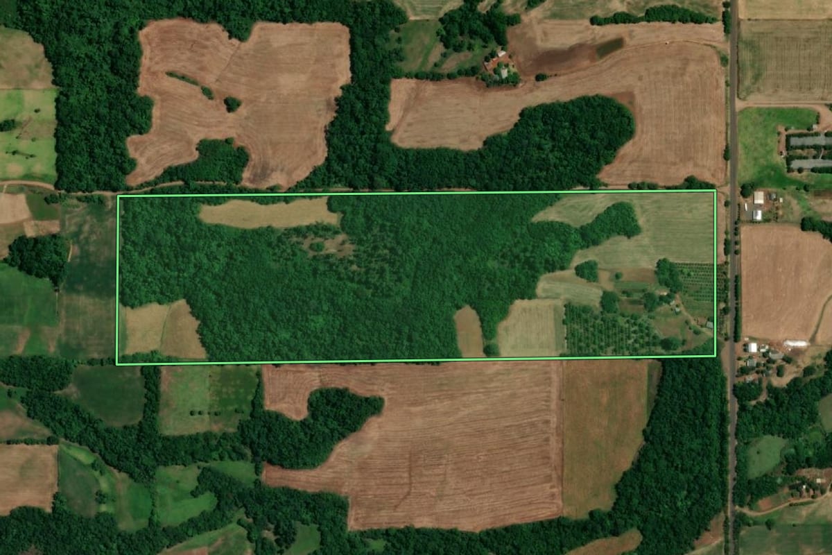 Imagem de satélite do imóvel rural em Roque Gonzales (RS), com o contorno declarado no CAR desenhado por cima.
