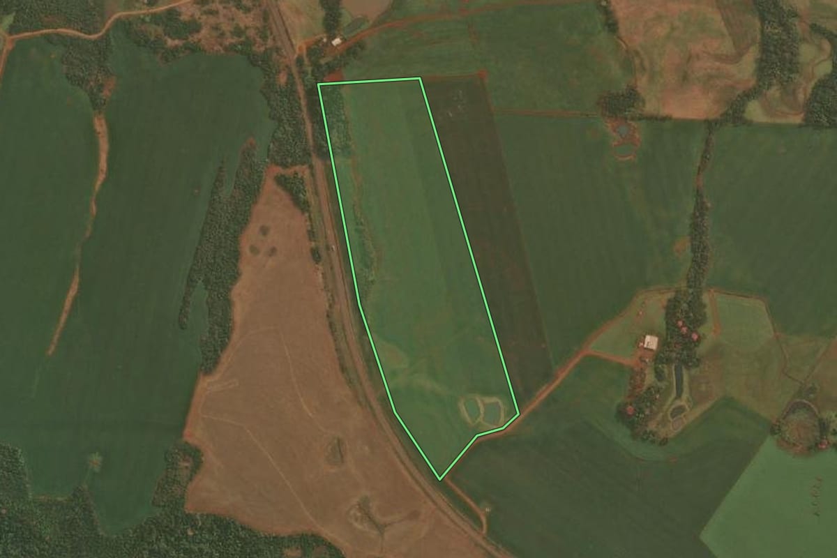 Imagem de satélite do imóvel rural em Roque Gonzales (RS), com o contorno declarado no CAR desenhado por cima.