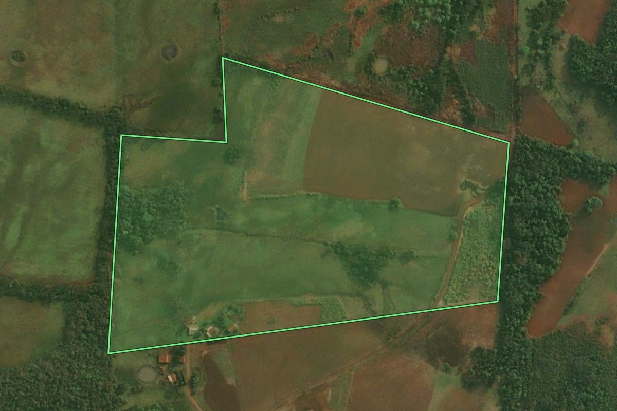 Imagem de satélite do imóvel rural em Roque Gonzales (RS), com o contorno declarado no CAR desenhado por cima.