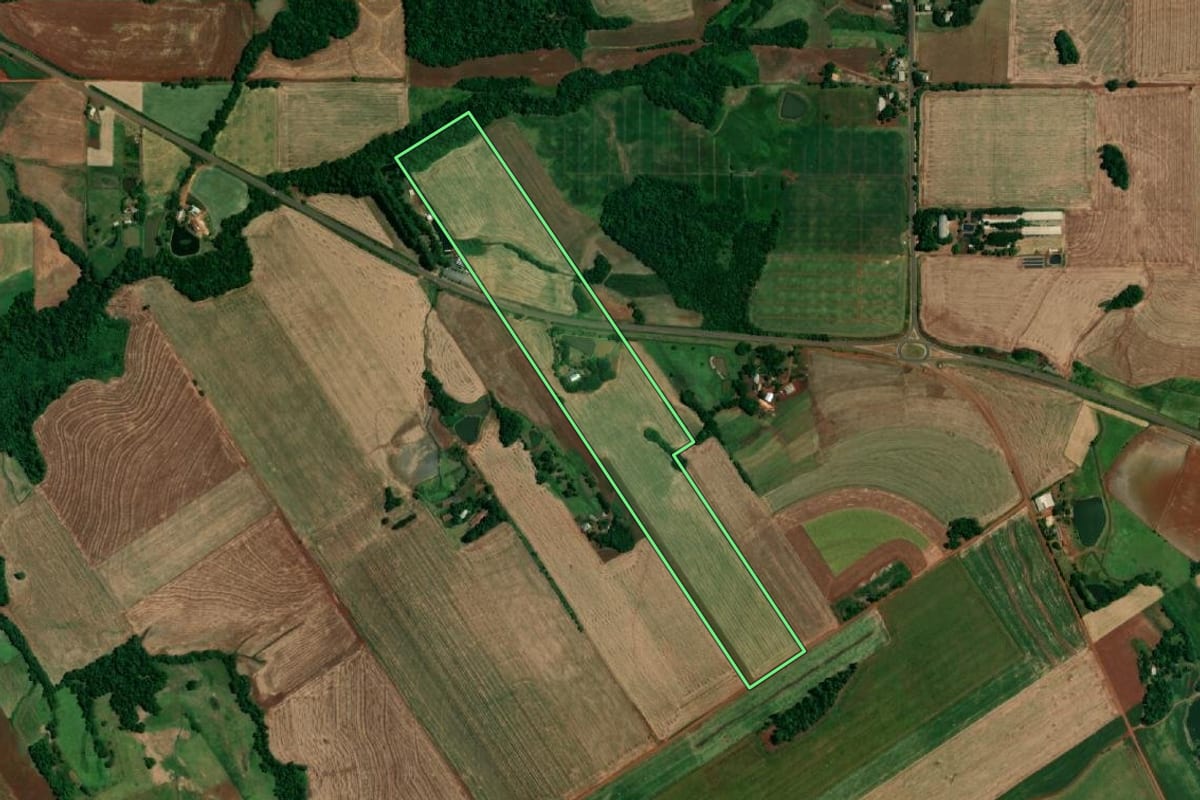 Imagem de satélite do imóvel rural em Roque Gonzales (RS), com o contorno declarado no CAR desenhado por cima.