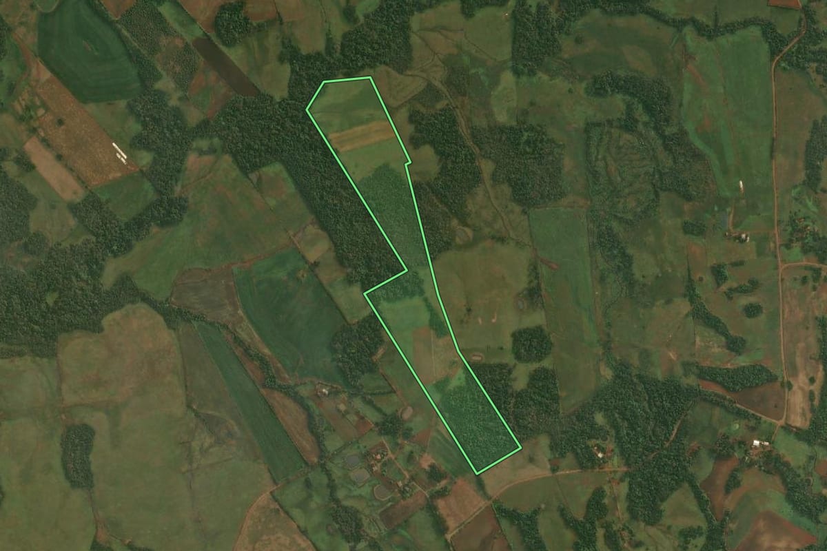 Imagem de satélite do imóvel rural em Roque Gonzales (RS), com o contorno declarado no CAR desenhado por cima.