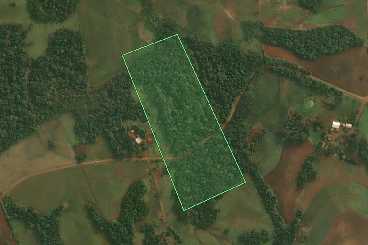 Imagem de satélite do imóvel rural em Roque Gonzales (RS), com o contorno declarado no CAR desenhado por cima.