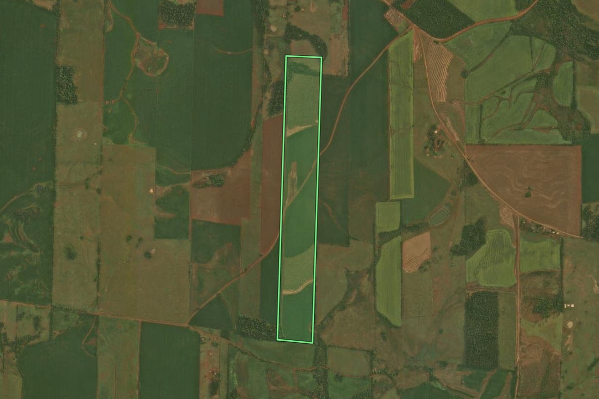 Imagem de satélite do imóvel rural em Roque Gonzales (RS), com o contorno declarado no CAR desenhado por cima.