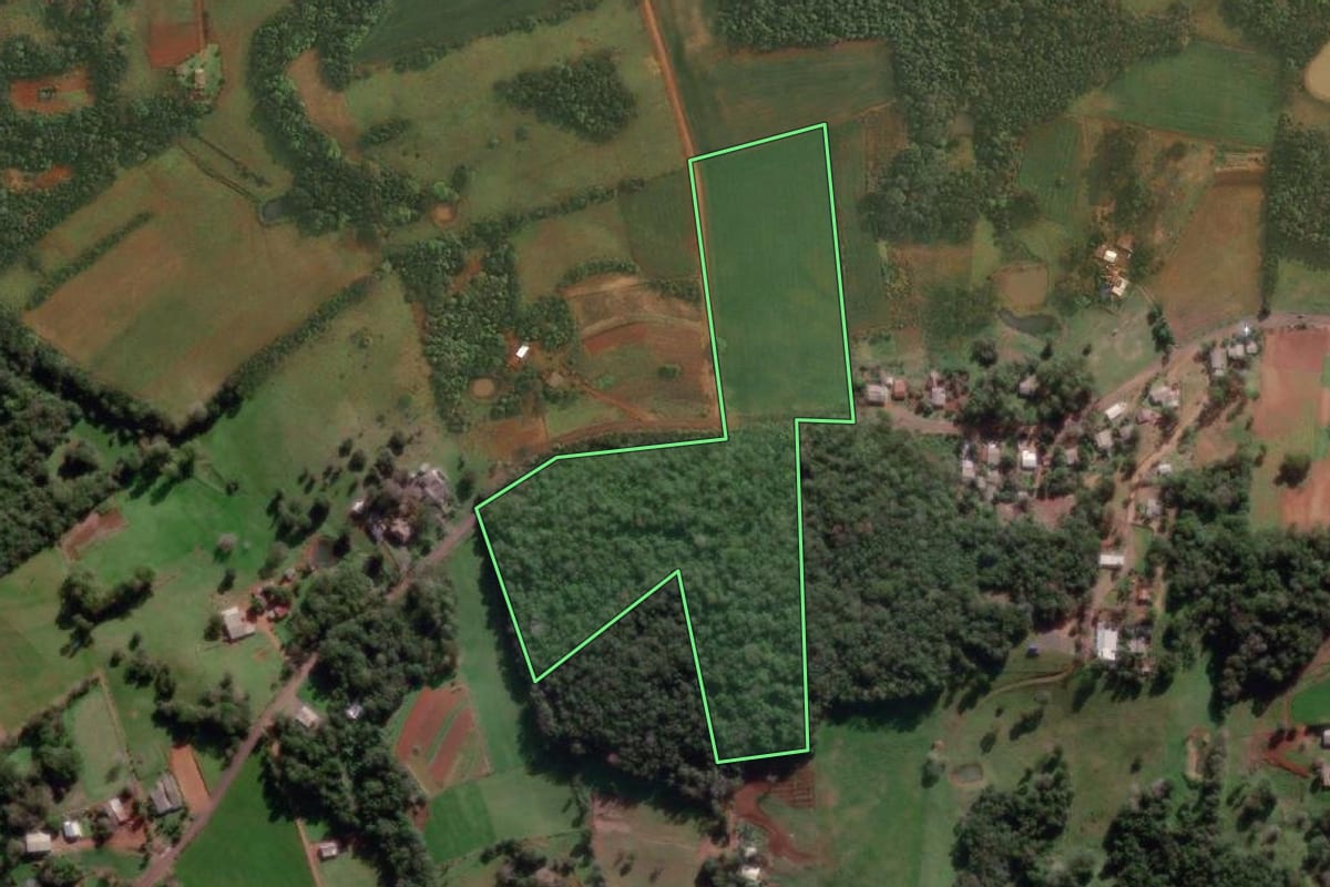 Imagem de satélite do imóvel rural em Roque Gonzales (RS), com o contorno declarado no CAR desenhado por cima.