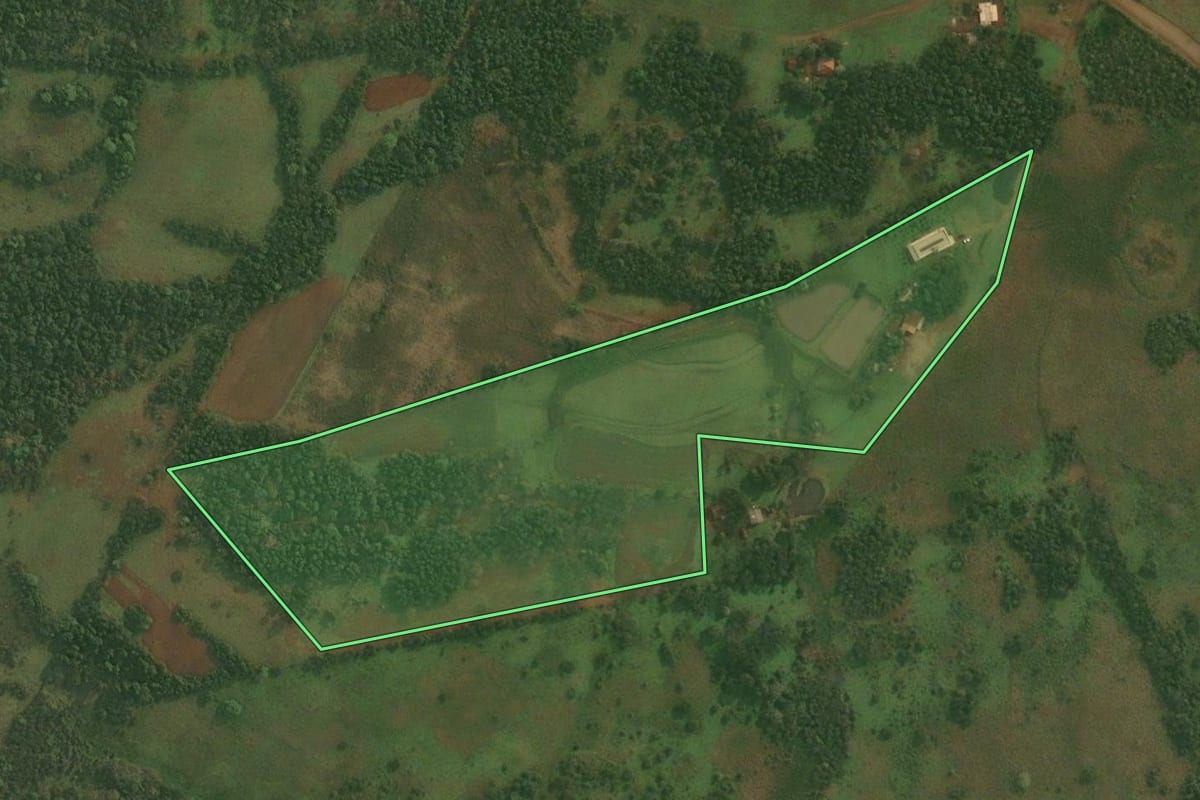 Imagem de satélite do imóvel rural em Roque Gonzales (RS), com o contorno declarado no CAR desenhado por cima.