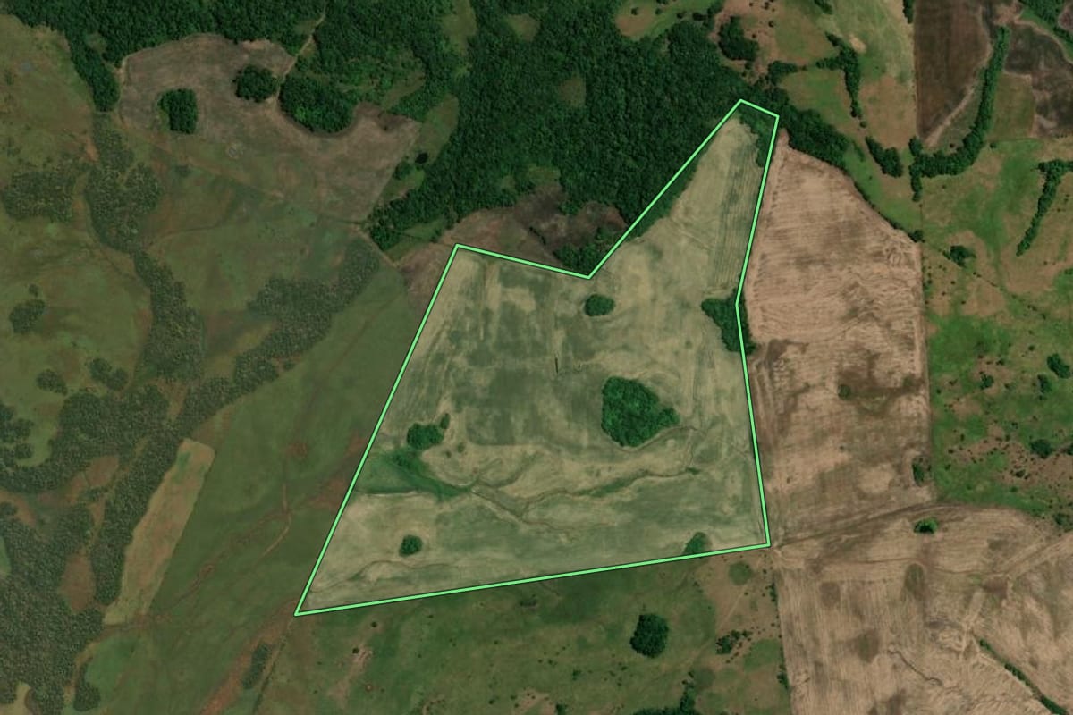 Imagem de satélite do imóvel rural em Roque Gonzales (RS), com o contorno declarado no CAR desenhado por cima.