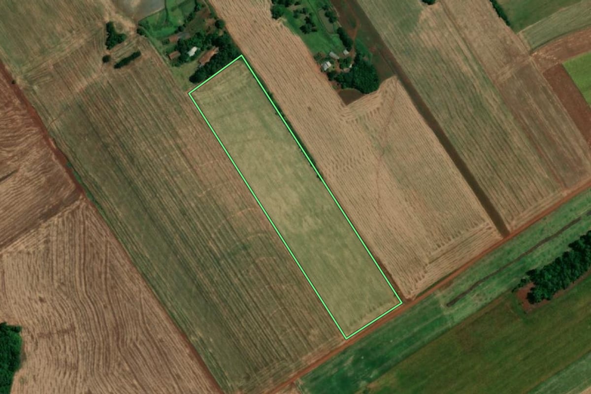 Imagem de satélite do imóvel rural em Roque Gonzales (RS), com o contorno declarado no CAR desenhado por cima.