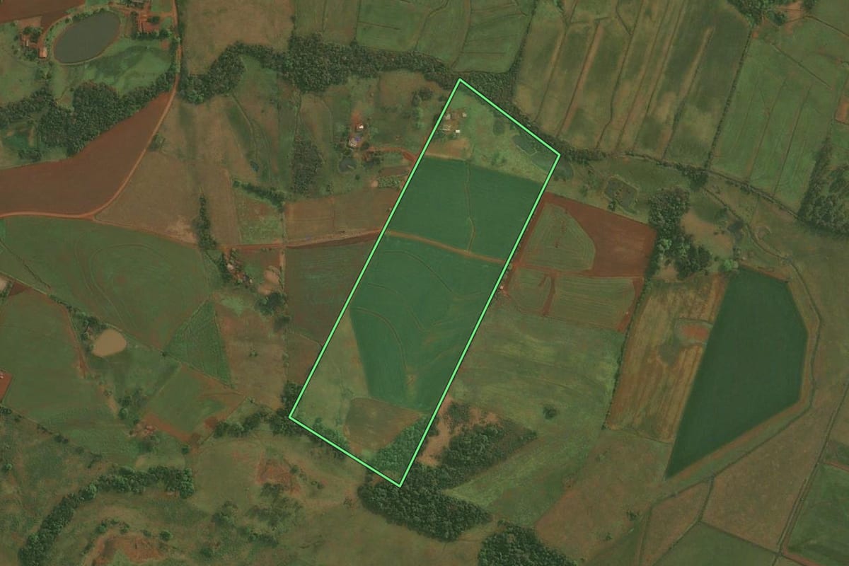 Imagem de satélite do imóvel rural em Roque Gonzales (RS), com o contorno declarado no CAR desenhado por cima.