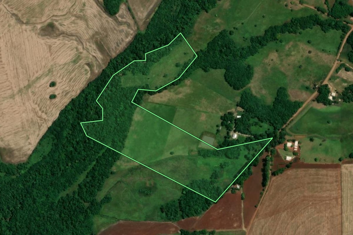 Imagem de satélite do imóvel rural em Roque Gonzales (RS), com o contorno declarado no CAR desenhado por cima.