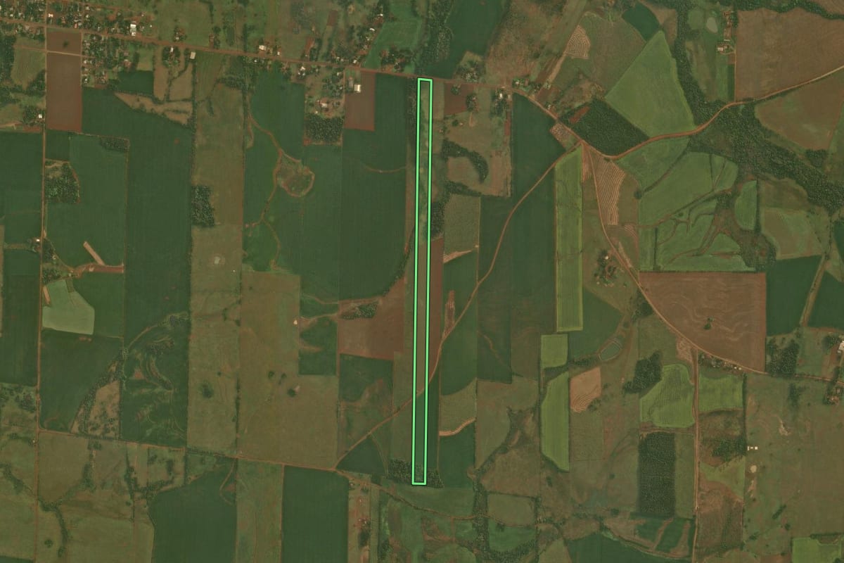 Imagem de satélite do imóvel rural em Roque Gonzales (RS), com o contorno declarado no CAR desenhado por cima.