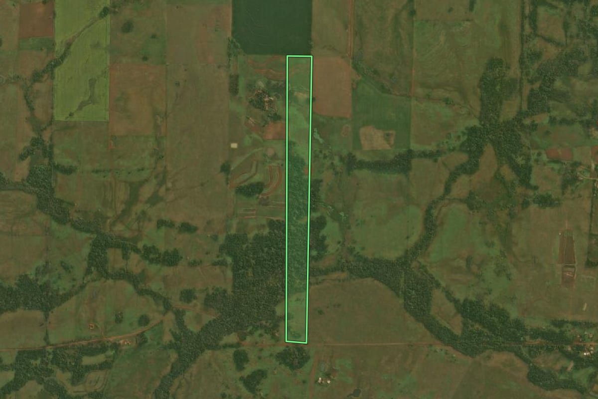 Imagem de satélite do imóvel rural em Roque Gonzales (RS), com o contorno declarado no CAR desenhado por cima.