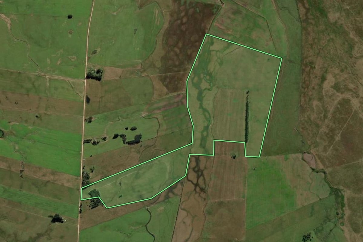 Imagem de satélite do imóvel rural em Rosário do Sul (RS), com o contorno declarado no CAR desenhado por cima.