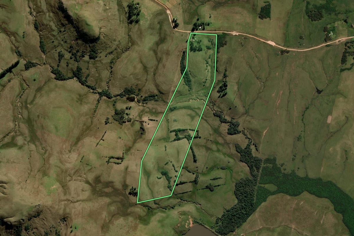 Imagem de satélite do imóvel rural em Rosário do Sul (RS), com o contorno declarado no CAR desenhado por cima.