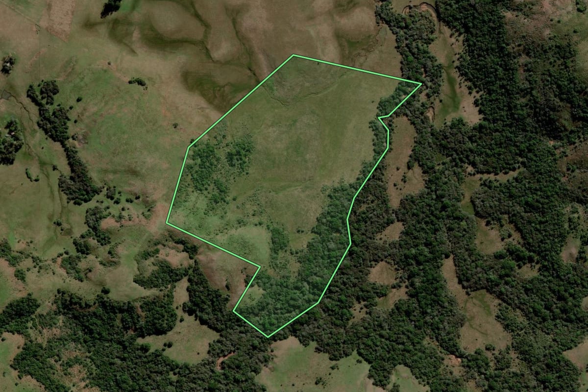 Imagem de satélite do imóvel rural em Rosário do Sul (RS), com o contorno declarado no CAR desenhado por cima.
