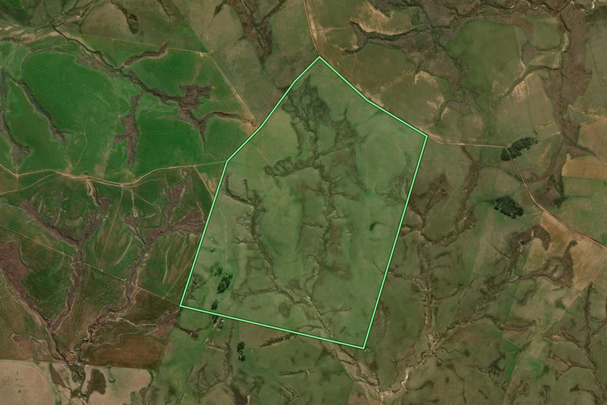 Imagem de satélite do imóvel rural em Rosário do Sul (RS), com o contorno declarado no CAR desenhado por cima.
