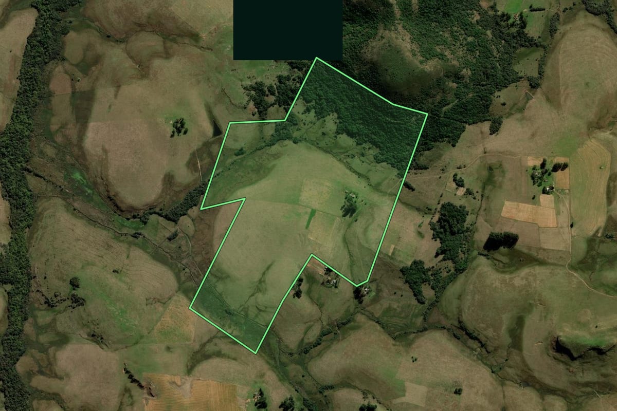 Imagem de satélite do imóvel rural em Rosário do Sul (RS), com o contorno declarado no CAR desenhado por cima.