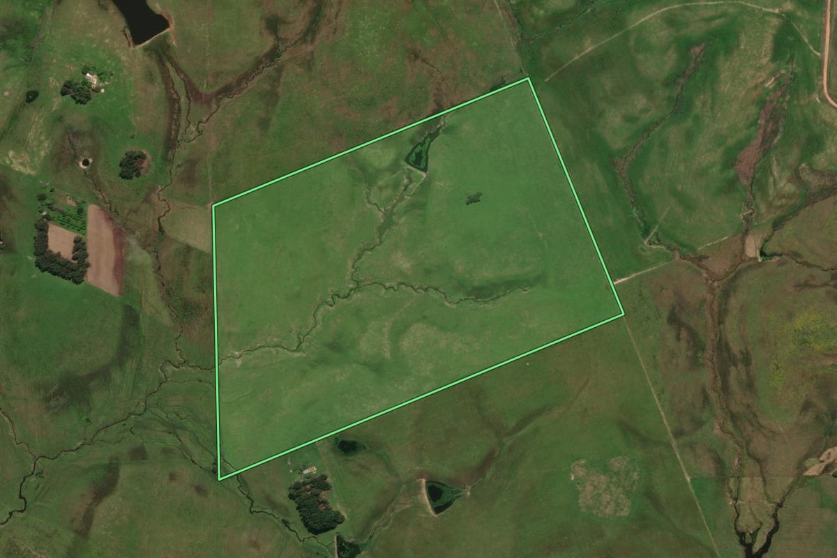 Imagem de satélite do imóvel rural em Rosário do Sul (RS), com o contorno declarado no CAR desenhado por cima.