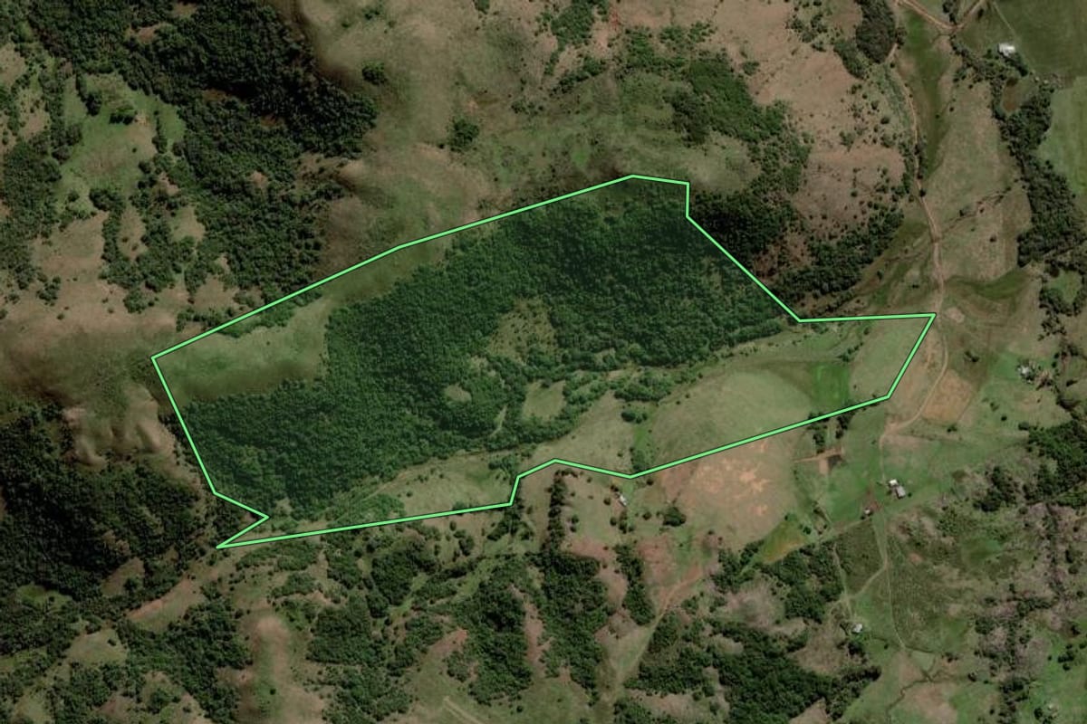 Imagem de satélite do imóvel rural em Rosário do Sul (RS), com o contorno declarado no CAR desenhado por cima.