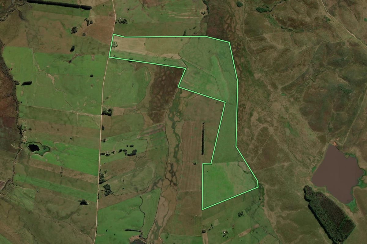 Imagem de satélite do imóvel rural em Rosário do Sul (RS), com o contorno declarado no CAR desenhado por cima.