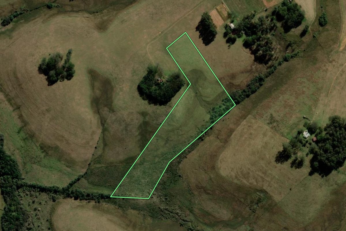 Imagem de satélite do imóvel rural em Rosário do Sul (RS), com o contorno declarado no CAR desenhado por cima.