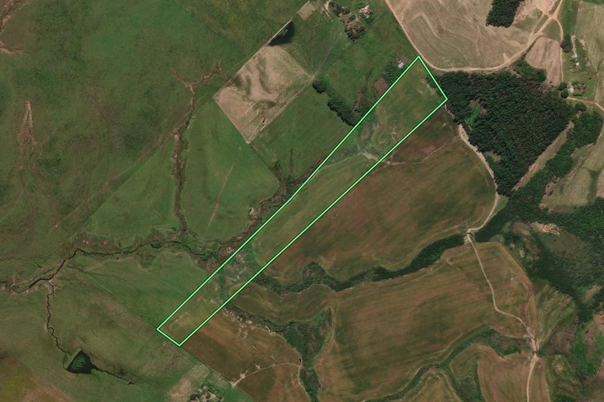 Imagem de satélite do imóvel rural em Rosário do Sul (RS), com o contorno declarado no CAR desenhado por cima.