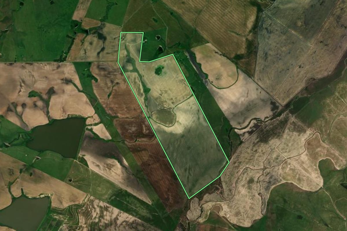 Imagem de satélite do imóvel rural em Rosário do Sul (RS), com o contorno declarado no CAR desenhado por cima.