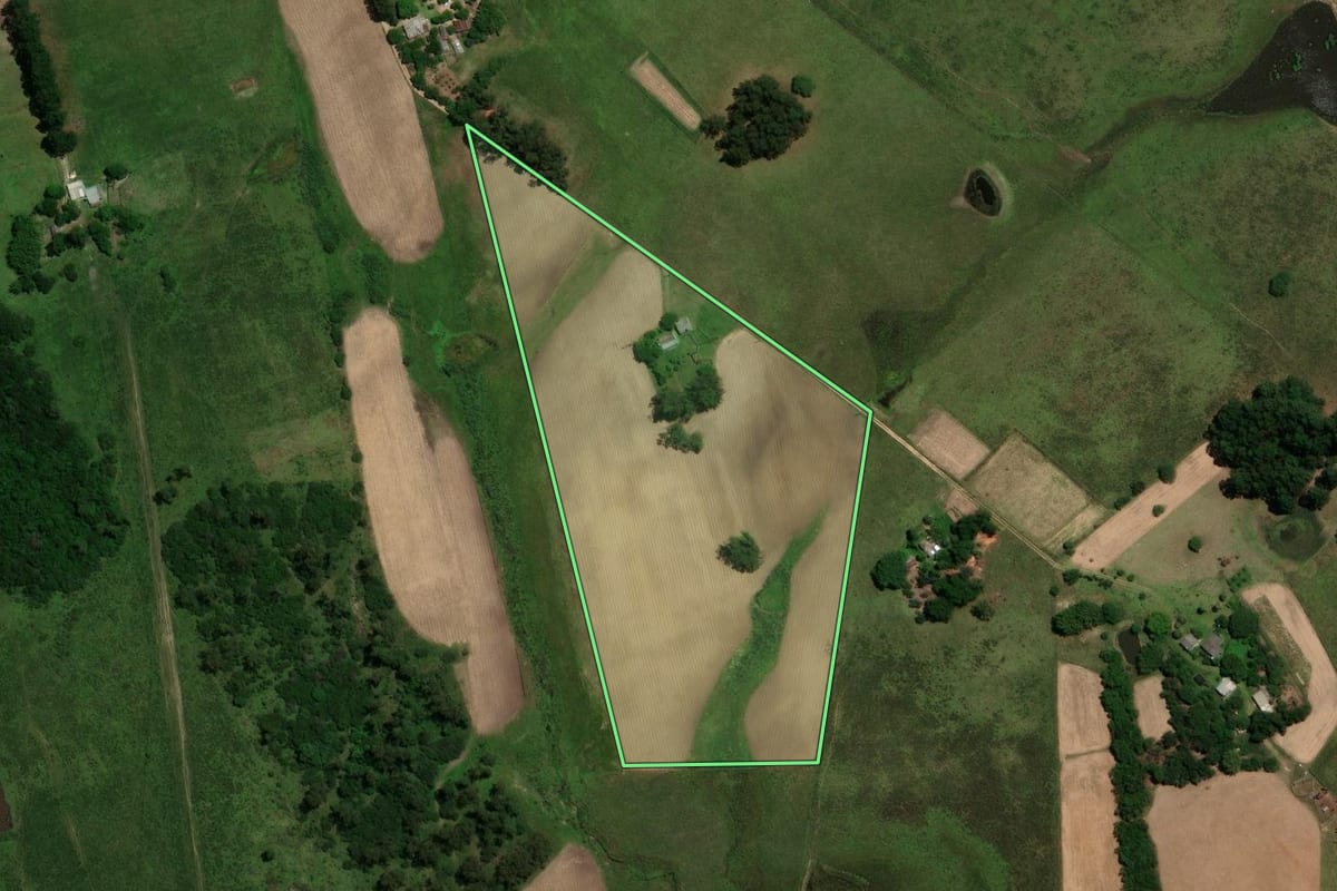 Imagem de satélite do imóvel rural em Rosário do Sul (RS), com o contorno declarado no CAR desenhado por cima.