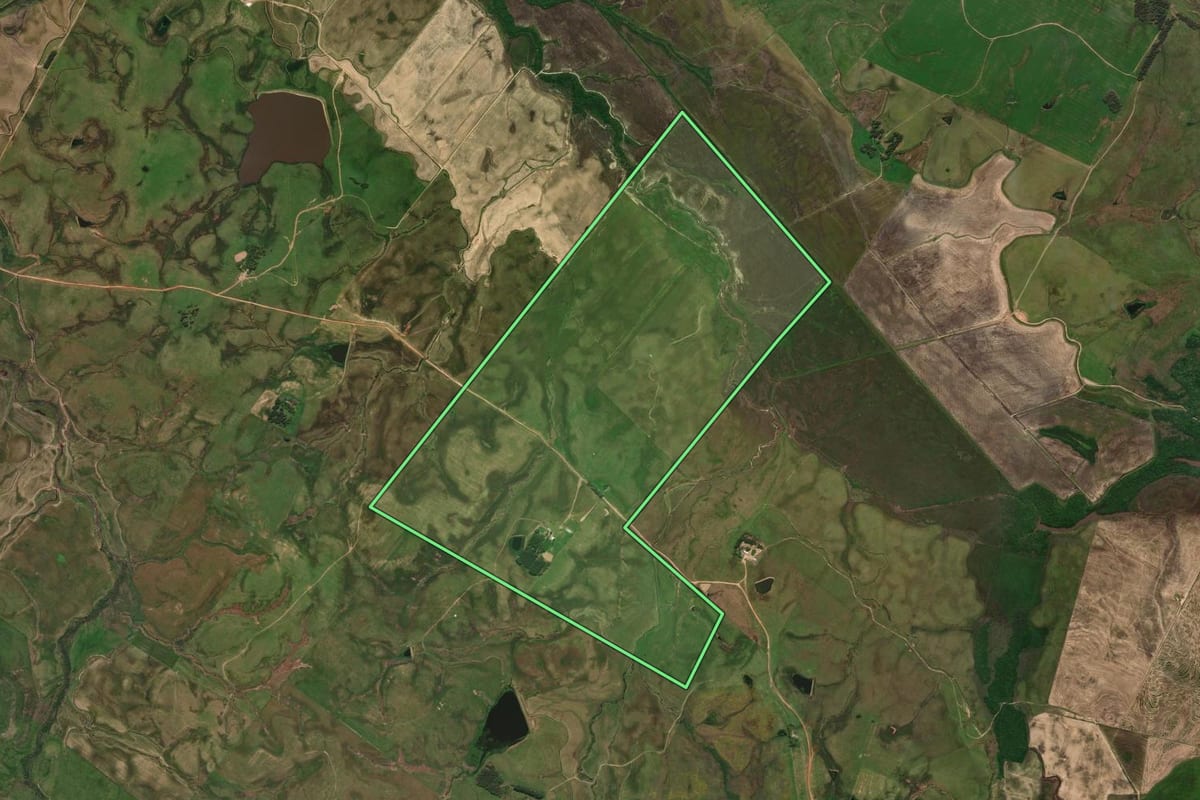 Imagem de satélite do imóvel rural em Rosário do Sul (RS), com o contorno declarado no CAR desenhado por cima.