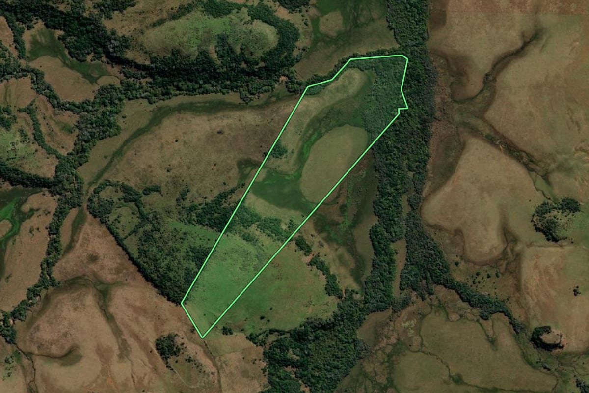 Imagem de satélite do imóvel rural em Rosário do Sul (RS), com o contorno declarado no CAR desenhado por cima.