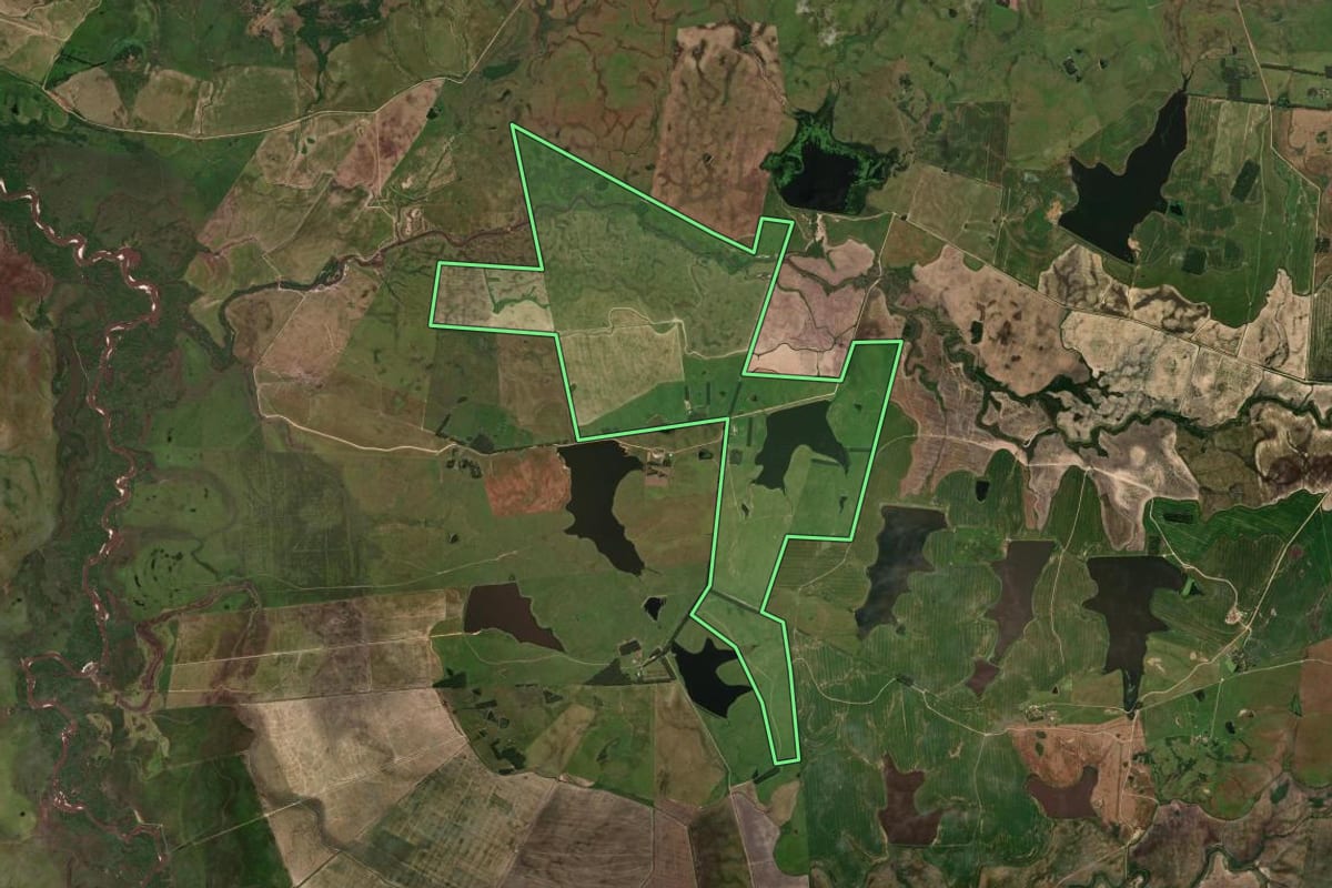 Imagem de satélite do imóvel rural em Rosário do Sul (RS), com o contorno declarado no CAR desenhado por cima.