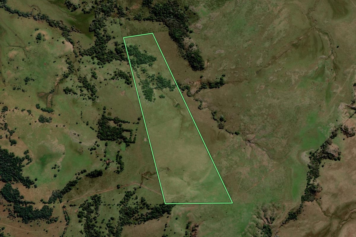 Imagem de satélite do imóvel rural em Rosário do Sul (RS), com o contorno declarado no CAR desenhado por cima.