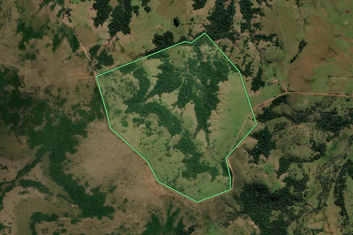 Imagem de satélite do imóvel rural em Rosário do Sul (RS), com o contorno declarado no CAR desenhado por cima.