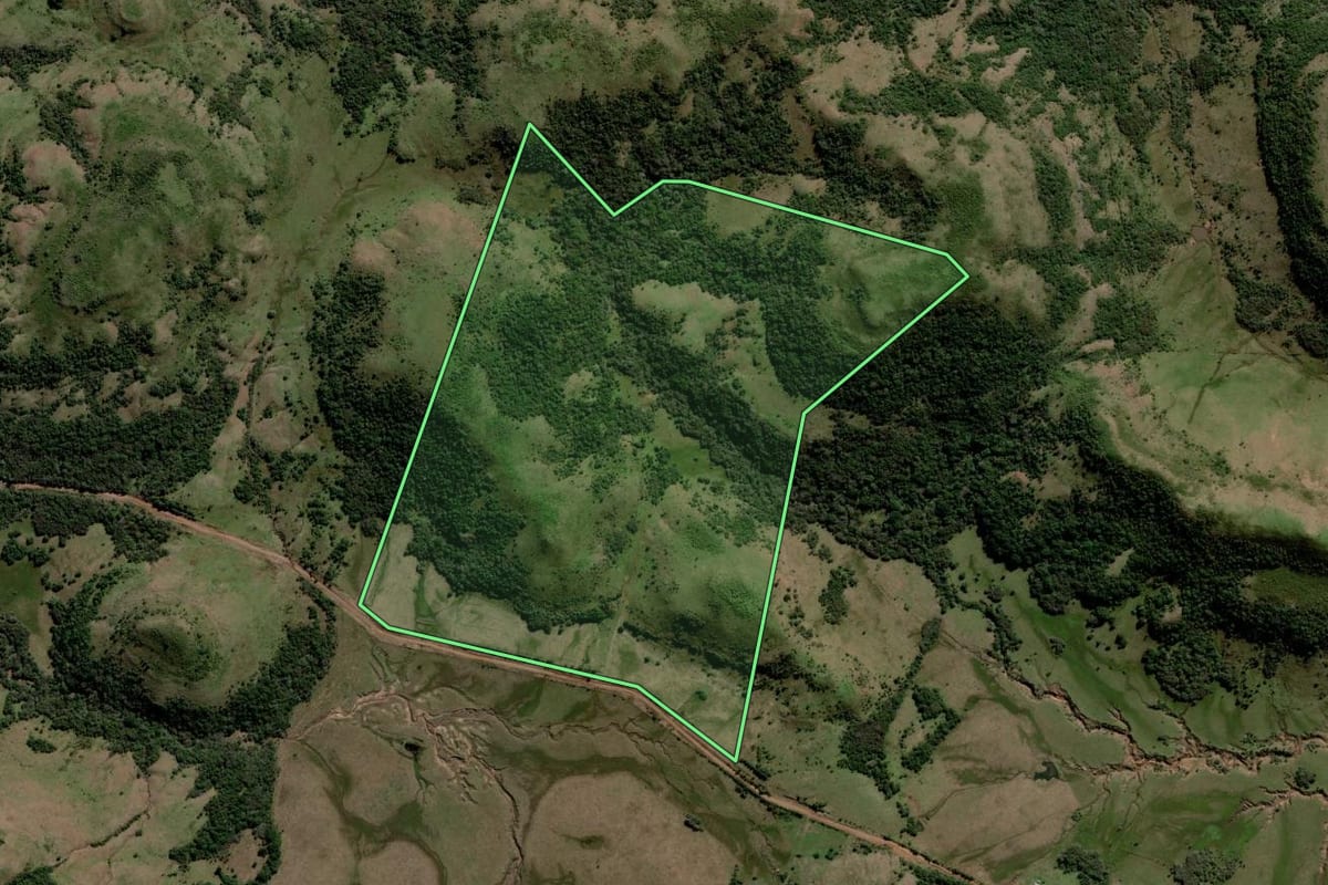 Imagem de satélite do imóvel rural em Rosário do Sul (RS), com o contorno declarado no CAR desenhado por cima.