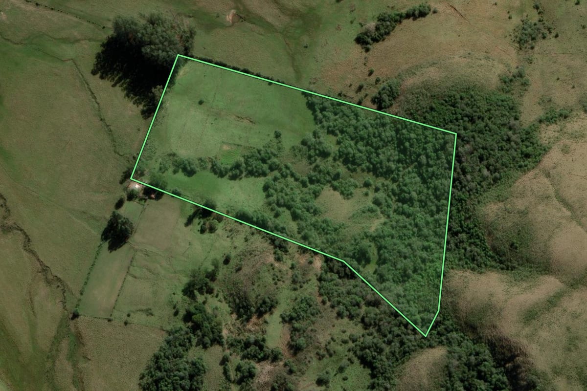 Imagem de satélite do imóvel rural em Rosário do Sul (RS), com o contorno declarado no CAR desenhado por cima.